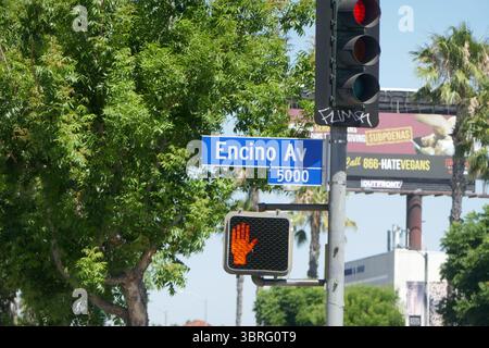Encino, Kalifornien, USA 11. Juli 2025 Encino Avenue am 11. Juli 2025 in Encino, Kalifornien, USA. Foto: Barry King/Alamy Stock Photo Stockfoto