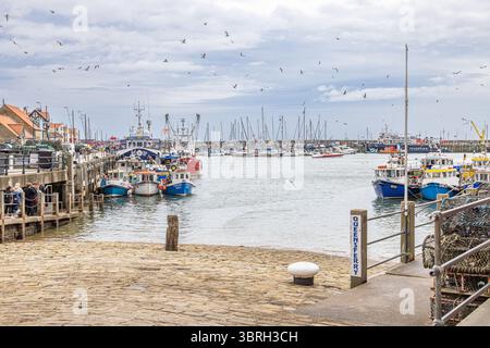 Fischerboote liegen im Scarborough Harbour, North Yorkshire, mit Möwen und Menschen am Kai. Küstenstadt und Betriebshafen in England Stockfoto