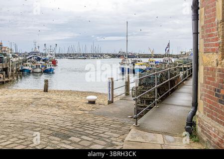 Fischerboote liegen im Scarborough Harbour, North Yorkshire, mit Möwen über dem Kopf in einer klassischen britischen Küste und einem funktionierenden Fischerhafen. Stockfoto