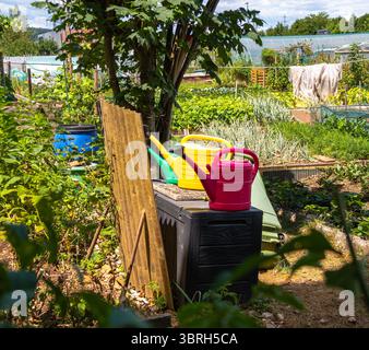Eine lebendige Gemeinschaftsgartenszene mit farbenfrohen Wasserkannen, üppigem Grün und Gartenbetten. Die Umgebung ist sonnig mit einer Mischung aus Pflanzen und Garde Stockfoto