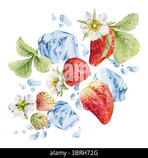 Erdbeeren reife Gartenbeeren fliegen im Wasser spritzen Blätter, Eiswürfel, Tautropfen, frische nasse Pinienbeere Strasberry Schlangenbeere. Isoliert Stockfoto