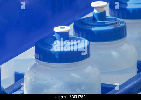 Wasserflaschen mit blauen Kappen sind ordentlich in einem blauen Träger angeordnet, wobei sich Kondenswasser auf den Oberflächen bildet, was eine kühle und erfrischende Flüssigkeitszufuhr anzeigt Stockfoto
