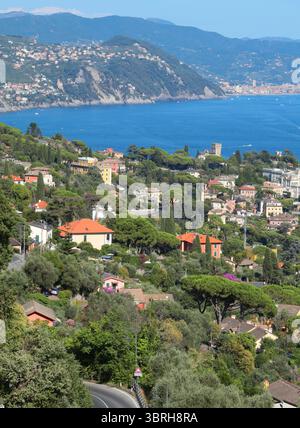 Camogli, Italien - 11. Juli 2025. Yachten, Boote in der Bucht von Ligurien. Meer und Tourismus in Italien. Traditionelle Gebäude. Hintergrund für die Konstruktion. Stockfoto