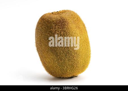 Einzelne frische reife, haarige Kiwi-Frucht isoliert auf weißem Hintergrund. Kiwis oder chinesische Stachelbeeren sind in Zentral- und Ostchina beheimatet Stockfoto