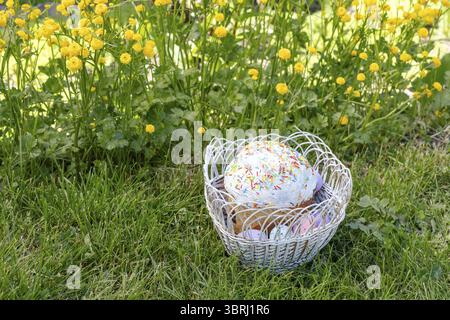 Süßer Osterkuchen und bunte Ostereier im Korb mit grünem Gras und gelbem Ranunkulus asiaticus im Hintergrund Stockfoto