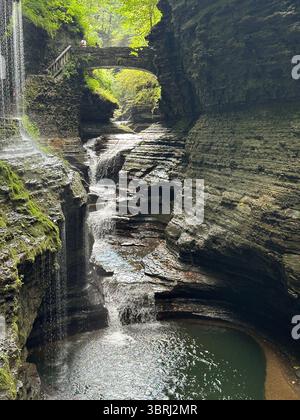 Erhalten in der Natur verloren Stockfoto