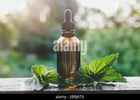 Wilde Bio Urtica dioica Brennnesseltinktur oder ätherisches Öl in kleiner brauner Glasflasche draußen mit frischen Blättern. Selektiver Fokus. Stockfoto