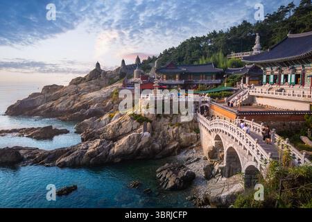 Busan Landschaft am Haedong Yonggungsa Tempel in Busan, Südkorea. Stockfoto