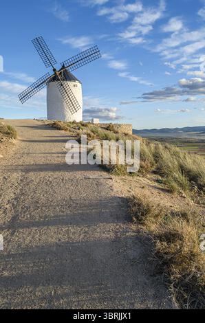 Typische Windmühlen im Dorf Consuegra, Provinz Toledo, Castilla La Mancha, Spanien Stockfoto