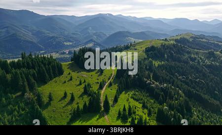 Vogelperspektive auf die üppige grüne Berglandschaft. Drohnenblick auf eine malerische Bergkette mit dichten immergrünen Wäldern, gewundenen Feldwegen und sanften Hügeln Stockfoto