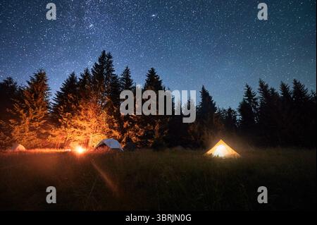 Mehrere Zelte, beleuchtet durch glühendes Lagerfeuer auf einer grasbewachsenen Rodung unter klarem Sternenhimmel. Umgeben von hohen Kiefern in den Bergen. Die ruhige Schönheit der Nacht, die Sie in der Natur verbracht haben. Stockfoto