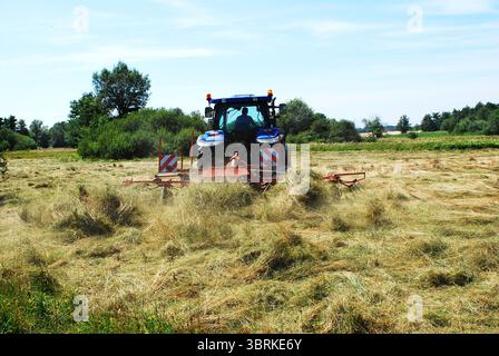 Der Landwirt dreht im Sommer Heu Stockfoto