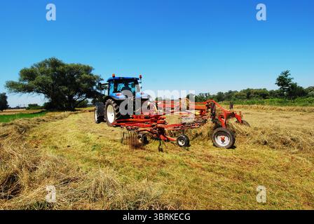 Der Landwirt dreht im Sommer Heu Stockfoto