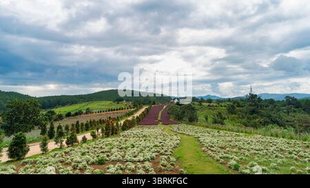 Ein Hügel, bepflanzt mit allerlei bunten Blumen, mit einem gewundenen Pfad zwischen den Blumenbeeten. Stockfoto