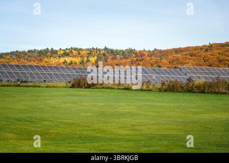 Umzäuntes Solarkraftwerk in einer bewaldeten Berglandschaft im Herbst Stockfoto