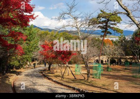 Ein Steinweg im Arashiyama Park führt an einem leuchtenden roten Ahornbaum an einem malerischen Herbsttag in Kyoto vorbei. Kyoto, Japan. Stockfoto