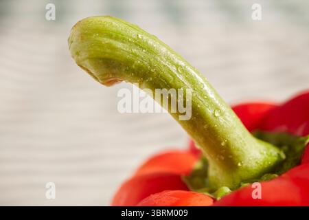 Eine rote Paprika Stockfoto