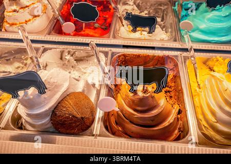 Farbenfrohes, handwerkliches Eis mit verschiedenen Geschmacksrichtungen in Edelstahlblechen, das die Kunden einlädt, sich mit einem süßen Leckerbissen zu verwöhnen Stockfoto