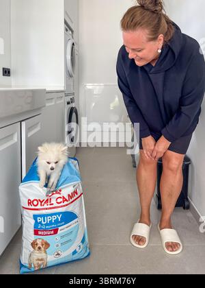 Faro, Portugal - 13. Juli 2025: Der Pommersche Welpe sitzt auf dem Royal Canin Hundefutter-Beutel, während die Frau einen verspielten Moment in der modernen Küche genießt Stockfoto