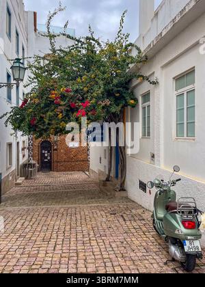 Faro, Portugal - 13. Juli 2025: Der Vespa-Roller parkt neben einem bunten blühenden Baum in einer malerischen Gasse in der Nähe des Restaurants A Tasca Terraco, Creati Stockfoto