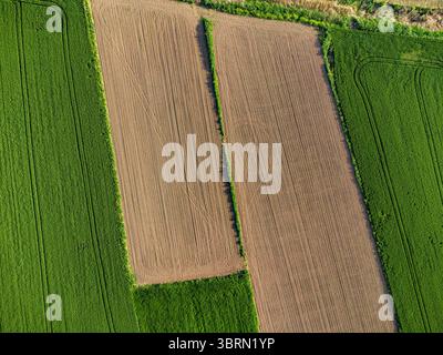 Drohnenaufnahme, die den Kontrast zwischen gepflügten und bewirtschafteten Feldern einfängt und ein geometrisches Muster in der ländlichen Landschaft bildet Stockfoto