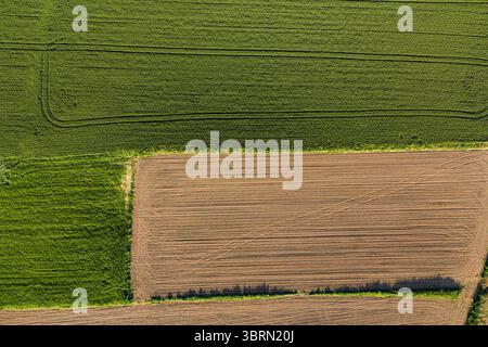 Drohnenaufnahme, die den Kontrast zwischen gepflügten und bewirtschafteten Feldern einfängt und ein geometrisches Muster in der ländlichen Landschaft bildet Stockfoto
