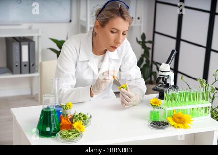 Wissenschaftlerin mit Probenkolben, Sonnenblumensamen und Sprossen im Labor Stockfoto