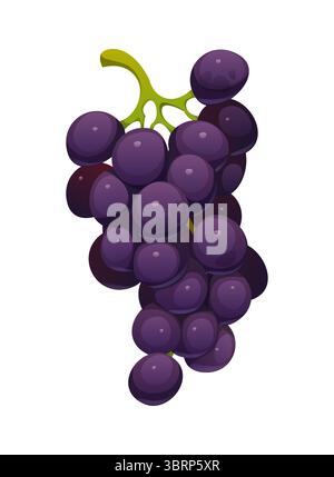 Ein Haufen glänzender, tiefvioletter Trauben, die an einem leuchtend grünen Stiel hängen. Cartoon Vektor reife Früchte, glückliches Erntedankfest und Herbsternte Symbol, betont natürliche Frische, Gesundheit und Weingut Stock Vektor