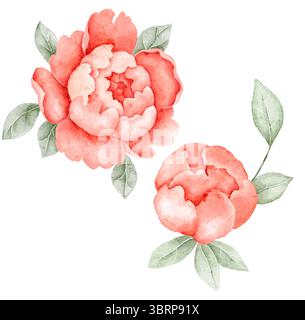 Pfingstrosenblüten in sanften Rottönen mit grünen Blättern. Elegante Blumenillustration für chinesische Frühlingsthemen, feminines Branding oder Hochzeit Pri Stockfoto