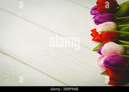 Mehrfarbige Tulpenblüten mit grünen Blättern ruhen auf weiß getünchter Holzoberfläche in flacher Ausführung Stockfoto