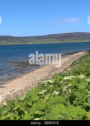 Der Broch of Gurness Scotland Orkneys Sand altes Dorf Eisenzeit Menschen historische Geschichte Gebäude Gebäude versteckte Landschaft Küste Meer Stockfoto