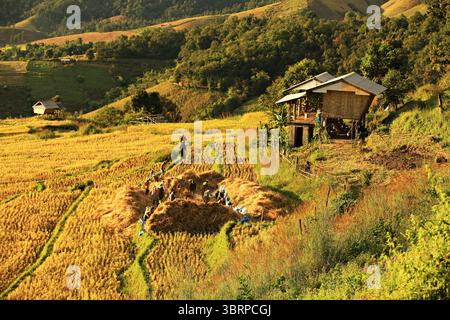 Wunderschöne Landschaft der Reisfelder auf Terrassen von Ban Pa Pong Piang, Mae Chaem, Provinz Chiang Mai, Thailand Stockfoto