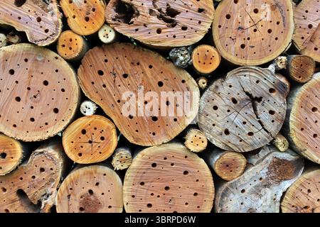 Nahaufnahme eines Holzbienenhotels Stockfoto
