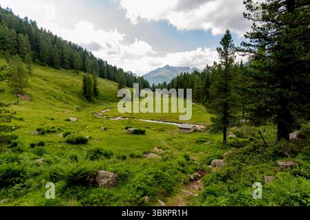 alpines Paradies kleines Tal mit Alpenbach zwischen den Gipfeln des Lagorai-Gebirges im Val Campelle Trient Italien Stockfoto