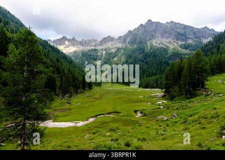 alpines Paradies kleines Tal mit Alpenbach zwischen den Gipfeln des Lagorai-Gebirges im Val Campelle Trient Italien Stockfoto