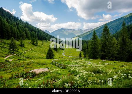 alpines Paradies kleines Tal mit Alpenbach zwischen den Gipfeln des Lagorai-Gebirges im Val Campelle Trient Italien Stockfoto