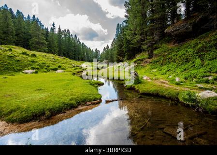 alpines Paradies kleines Tal mit Alpenbach zwischen den Gipfeln des Lagorai-Gebirges im Val Campelle Trient Italien Stockfoto