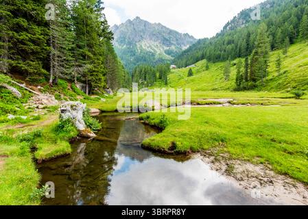alpines Paradies kleines Tal mit Alpenbach zwischen den Gipfeln des Lagorai-Gebirges im Val Campelle Trient Italien Stockfoto