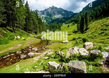 alpines Paradies kleines Tal mit Alpenbach zwischen den Gipfeln des Lagorai-Gebirges im Val Campelle Trient Italien Stockfoto
