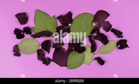Abstrakter Hintergrund mit getrockneten Rosenblättern und Blättern Stockfoto