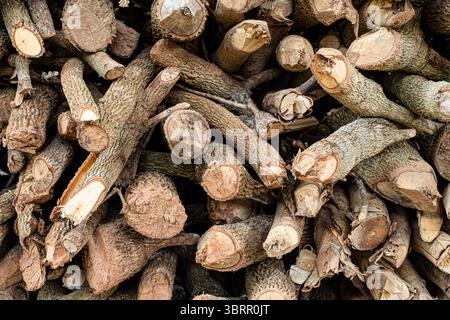 Nahaufnahme eines Haufens Brennholz und getrockneter Holzstücke Stockfoto