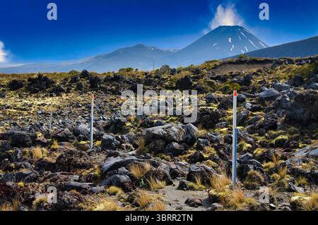 Wegmarkierungen zeigen den Weg durch ein Lavafeld am Mount Ruapehu. Im Hintergrund der Kegel des Mount Ngauruhoe, Mount Doom von Lord of the Rings Stockfoto