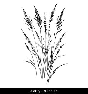 Trockene Äste, Sumpfgras und Büsche, schwarz-weiße Skizze. Vektorabbildung. Schilf und Waldgräser isoliert auf weißem Hintergrund. Das Thema Stock Vektor