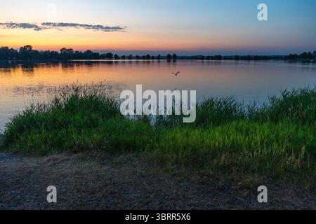 Segelschiffe im Hafen von Hard am Bodensee vor Sonnenaufgang beleuchtet die Dämmerung den See und zaubert intensive Farben auf das Wasser Stockfoto