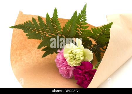 Nelkenblumen aus Equador, in ungewöhnlichen Farben Stockfoto