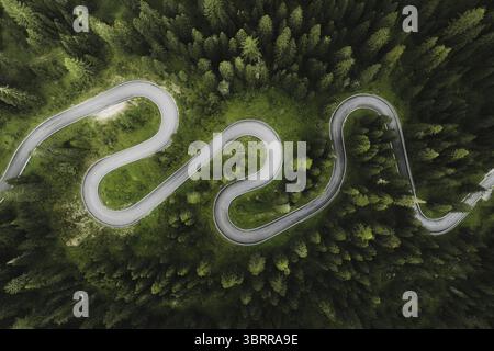 Aus der Vogelperspektive schlängelt sich eine gewundene Straße durch einen dichten Wald, dessen grauer Asphalt im Kontrast zum lebendigen grünen Baldachin steht, Giau Pass, Venetien, Italien. Stockfoto