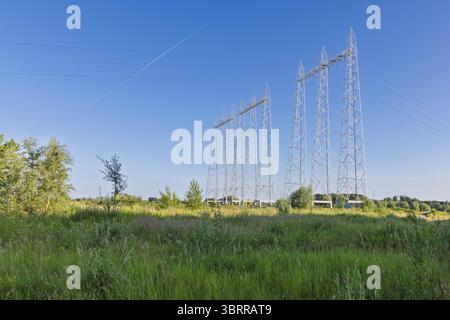 Eine große Aufnahme großer Strommasten, die sich über ein grünes, grasbewachsenes Feld unter einem strahlend blauen, klaren Himmel erstrecken. Stockfoto