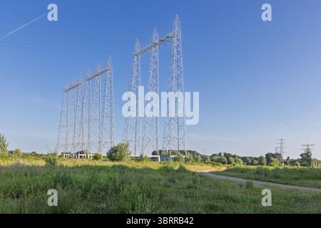 Ein beeindruckender Blick auf mehrere massive Kraftmasten, die die Energieübertragung symbolisieren, erstreckt sich über eine grasbewachsene Landschaft. Stockfoto