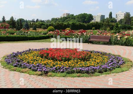 Ein wunderschönes kreisförmiges Blumenbeet bietet leuchtend rote, gelbe und lila Pflanzen, während eine Bank zur Entspannung in der Natur einlädt Stockfoto