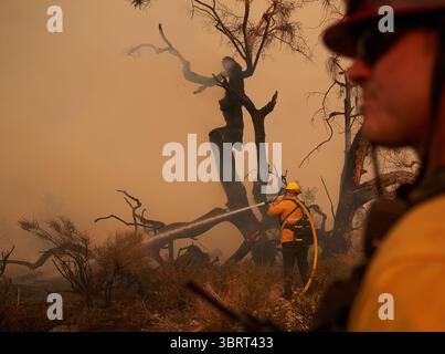 19. September 2020, Valyermo, Kalifornien, USA: Ein Feuerwehrmann zündet einen Joshua-Baum an. Das Bobcat-Feuer brach durch den Wüstenboden von Valyermo, Kalifornien, ein, nachdem die Winde aufstiegen. (Bild: © Allison Dinner/ZUMA Wire) Stockfoto